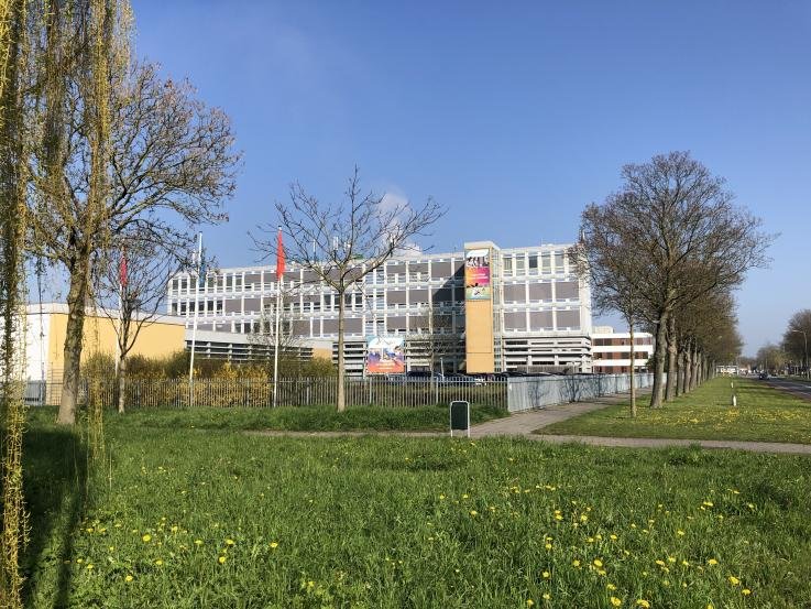 foto linge college
